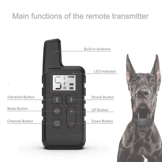 Waterproof Remote Dog Training Collar — Rechargeable, 300m Range, Safe & Humane | PawVibe